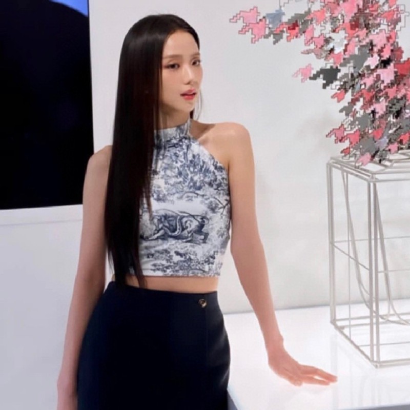 Dior Swimear