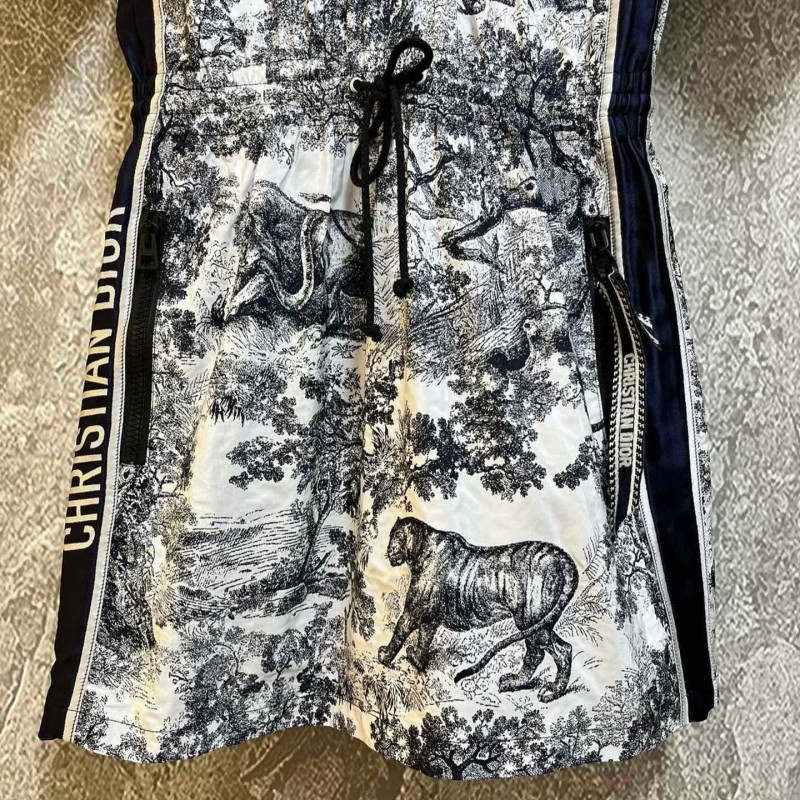 Dior Dress
