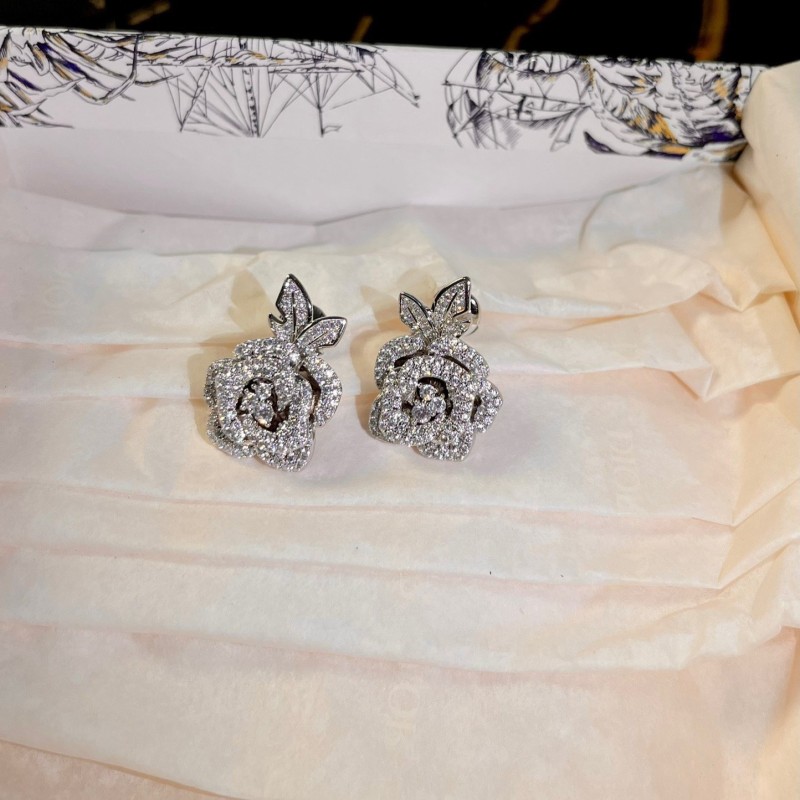 Dior Earrings 