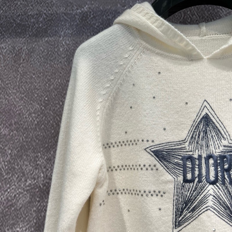 Dior Hoodie