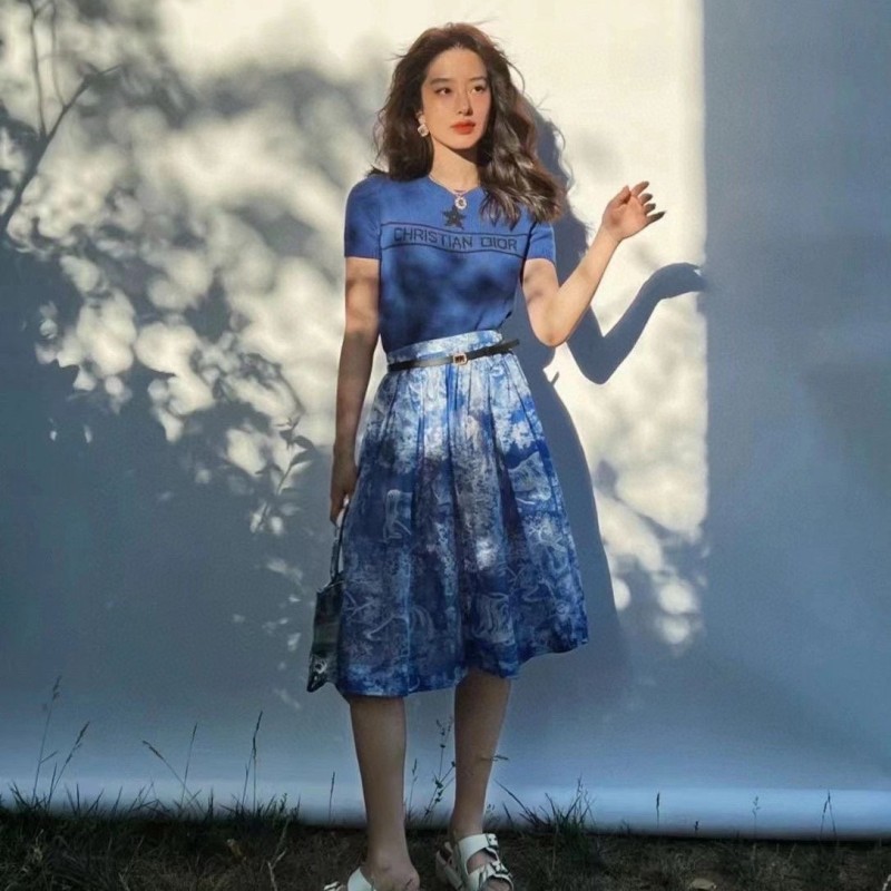 Dior Skirts