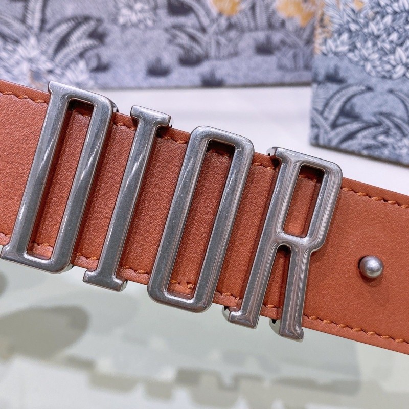 Dior D-Fence Belt