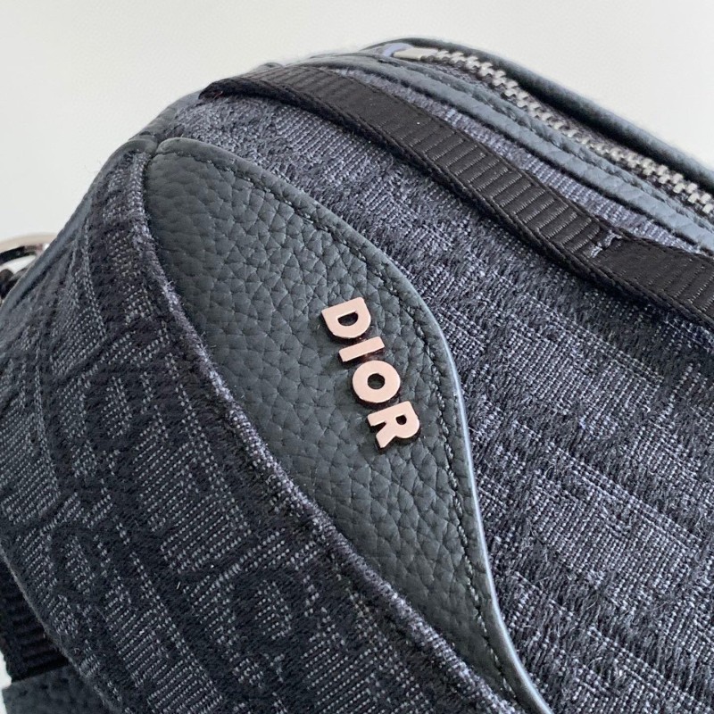 Dior Scarab Bag