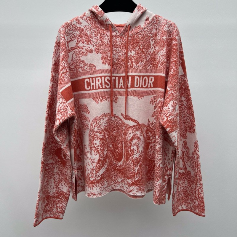 Dior Hoodie & Shorts Set
