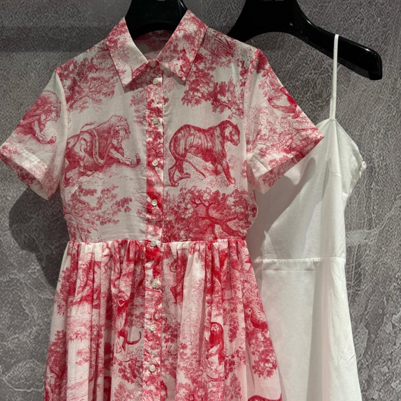 Dior Dress