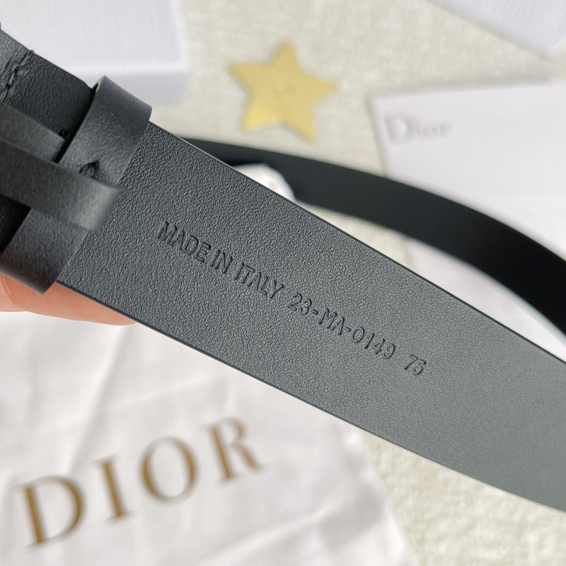 Dior Quake Belt