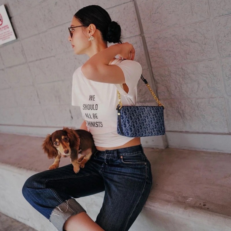 Dior 饭盒包