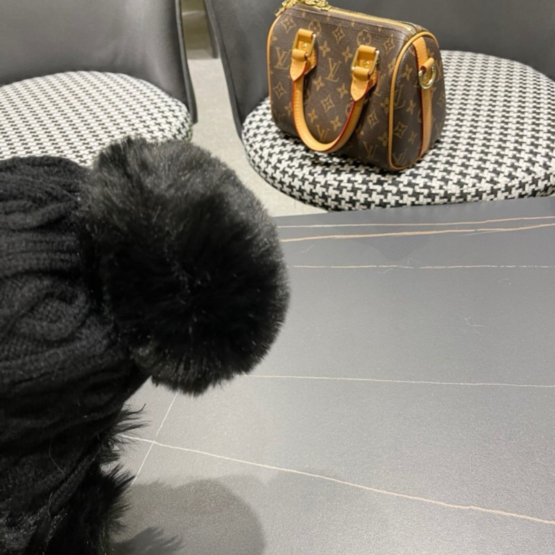 Gucci Bennie Hat