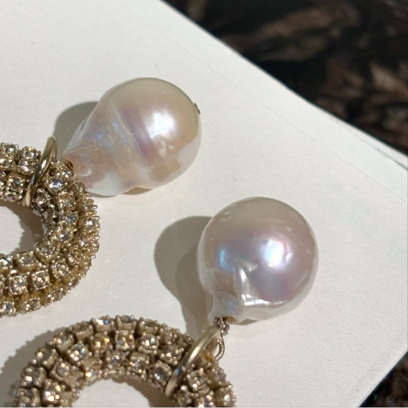 Dior Earrings