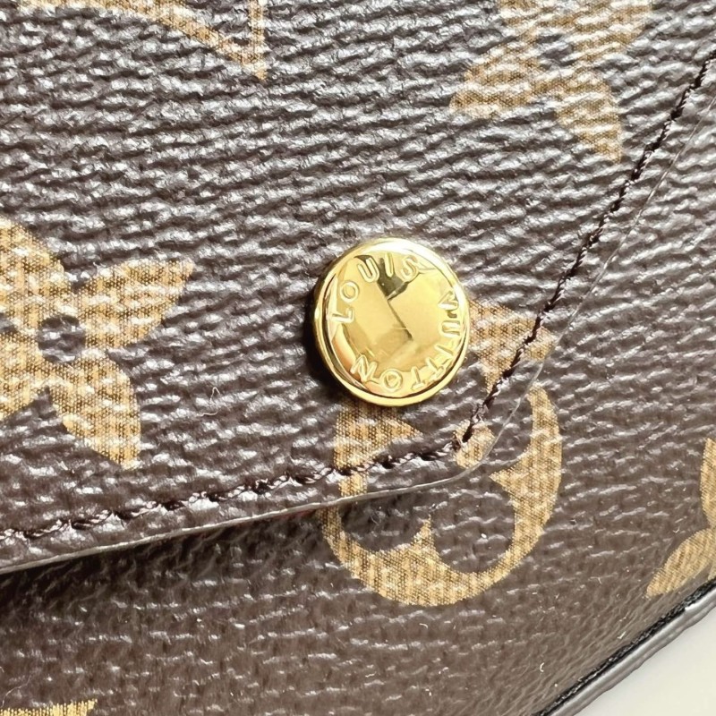 LV Pochette Félicie Handbag 