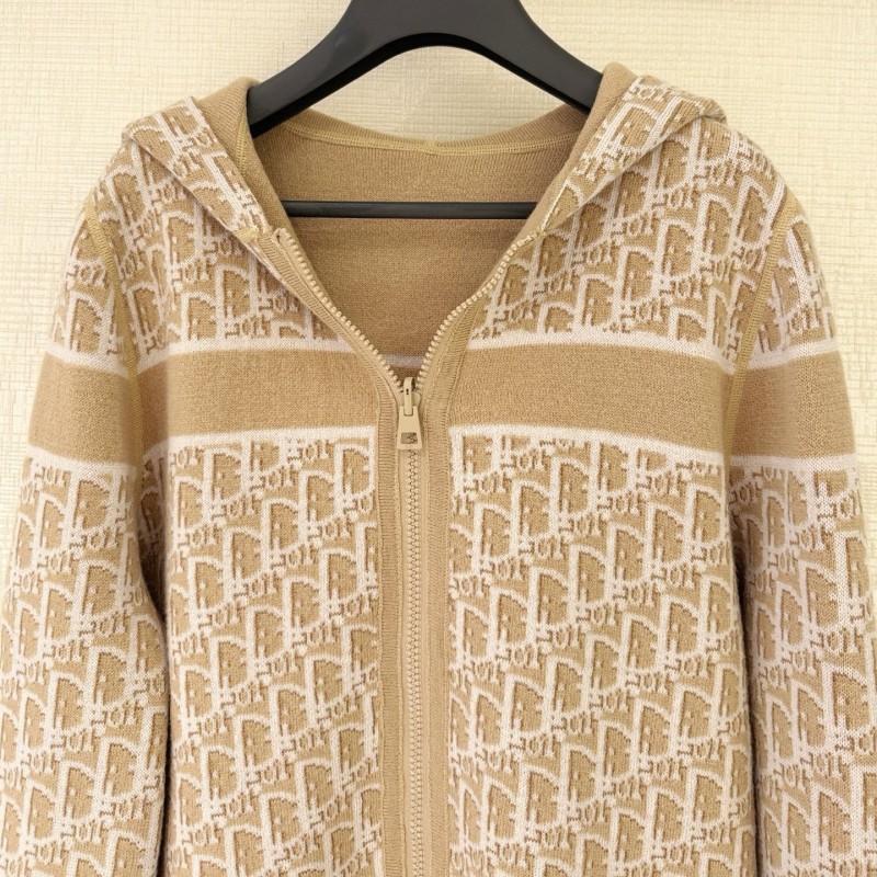 Dior Hoodie