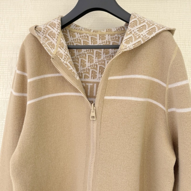 Dior Hoodie