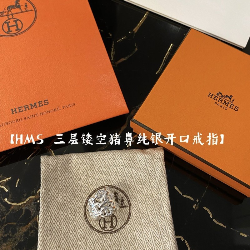 Hermes Earrings