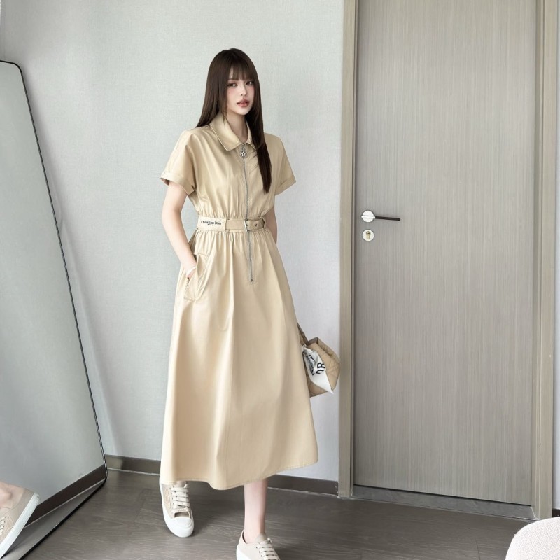 Dior Dress