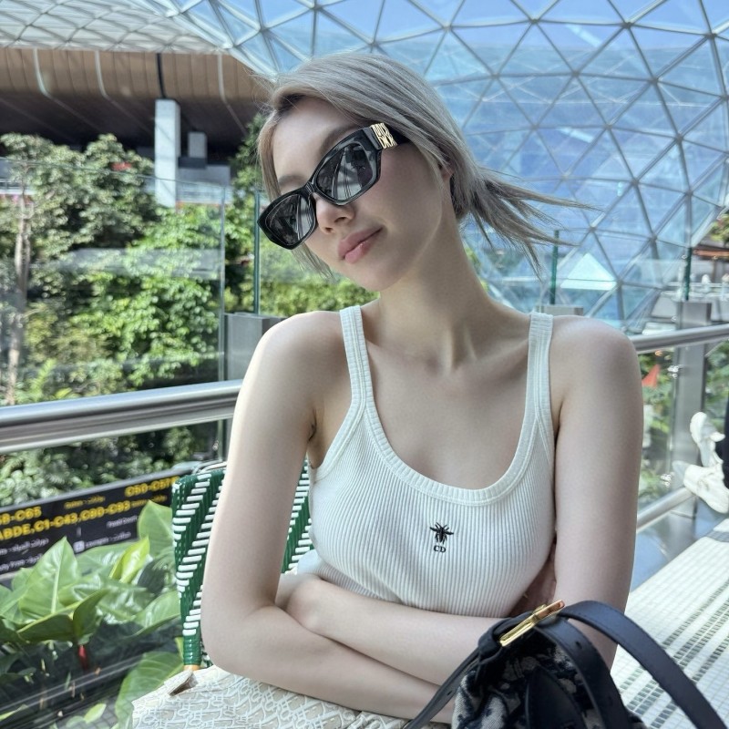 Dior Vest