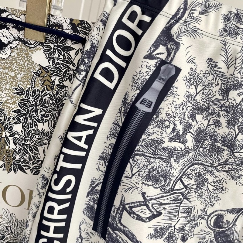 Dior Swimsuit 