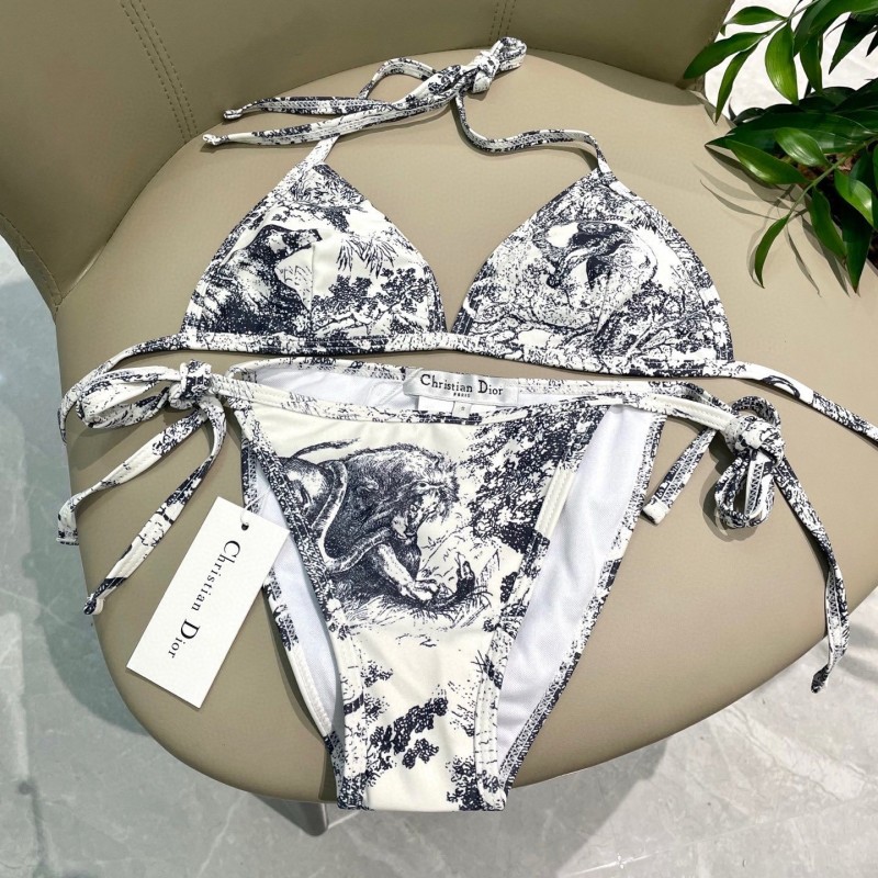 Dior Swimsuit 