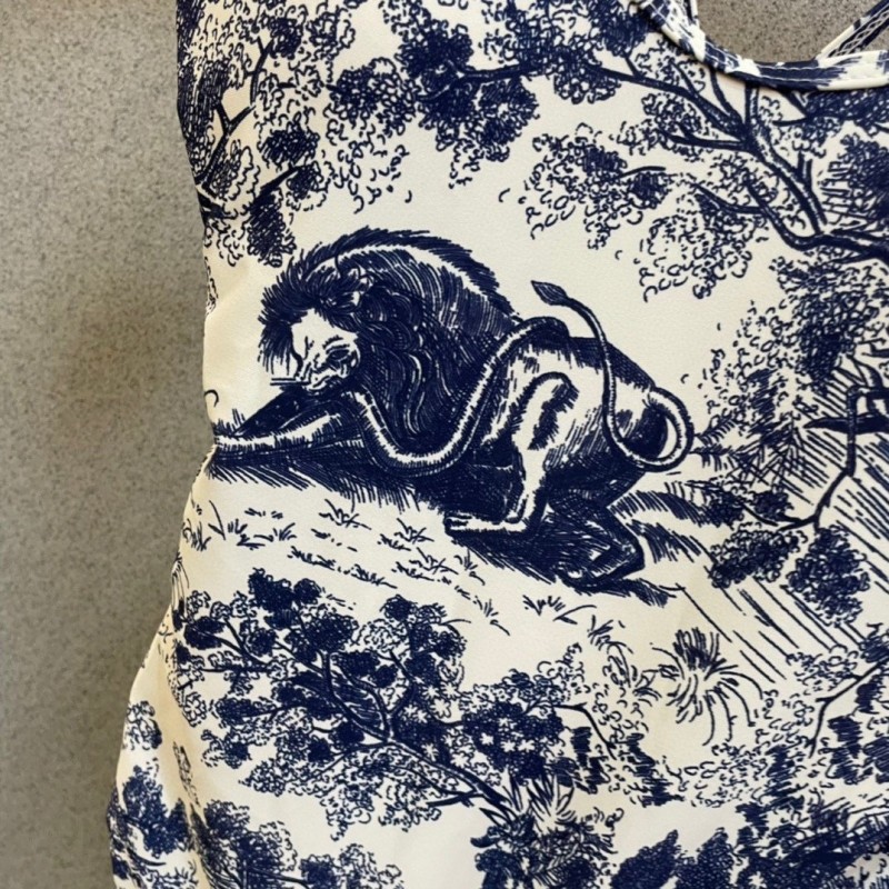Dior Swimsuit 
