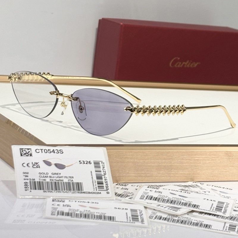 Cartier Sunglasses 