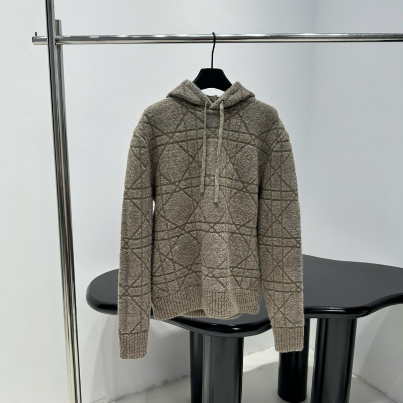 Dior Wool Hoodie