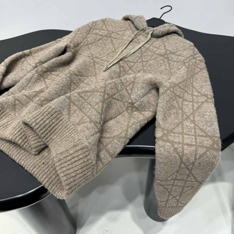 Dior Wool Hoodie