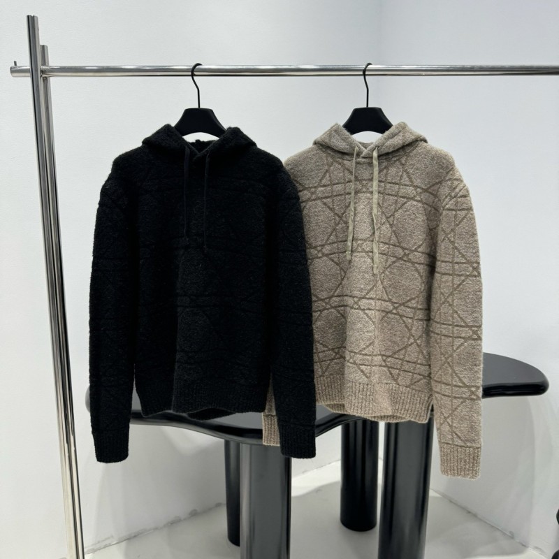 Dior Wool Hoodie
