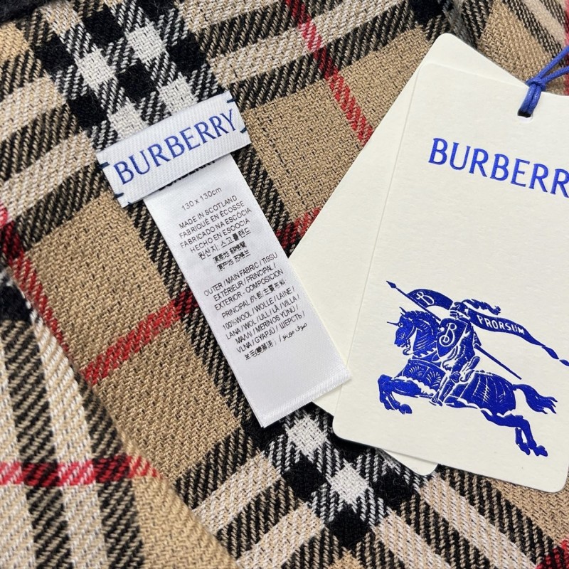 Burberry Shawl