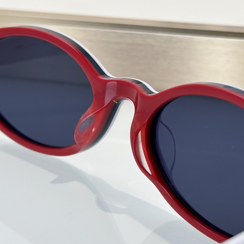 Dior Sunglasses 