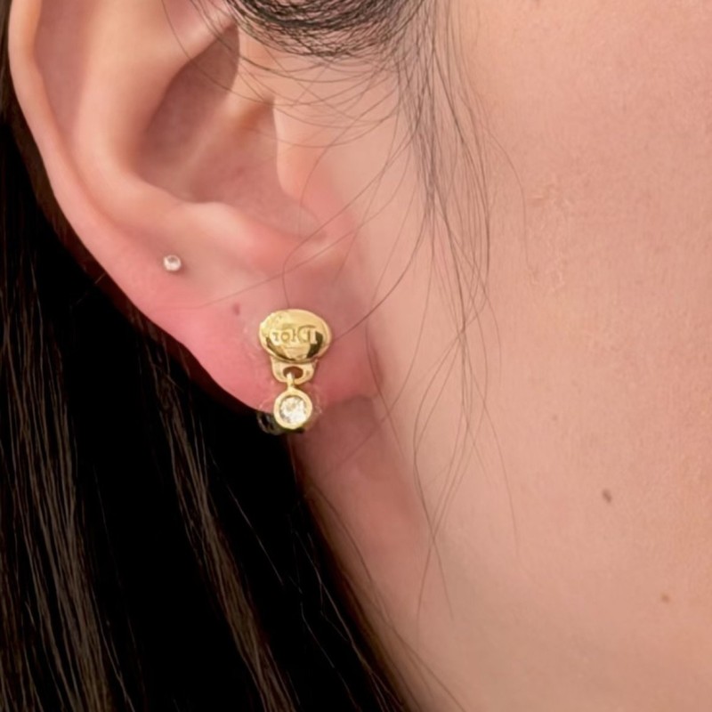 Dior Earrings 