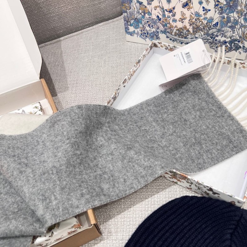 Dior Long Scarf