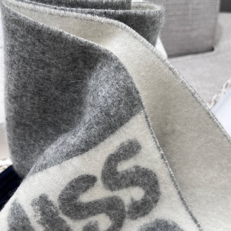 Dior Long Scarf