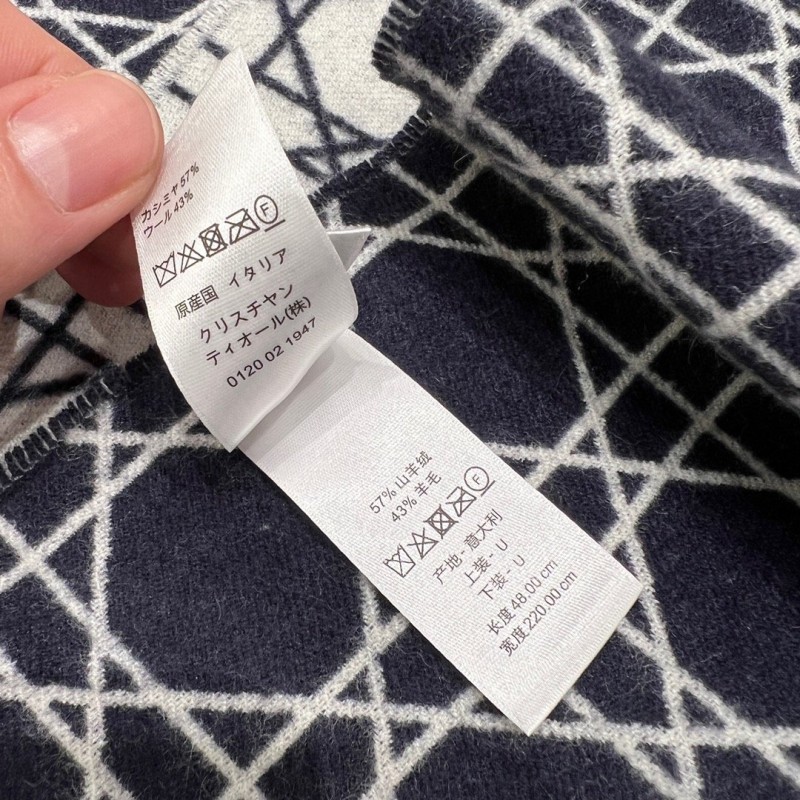 Dior Long Scarf