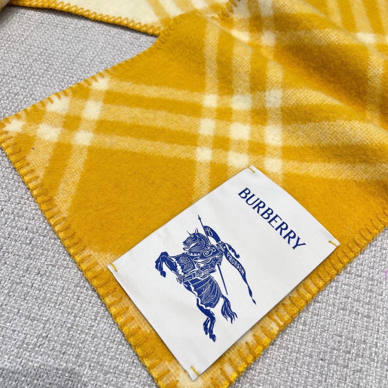Burberry Shawl