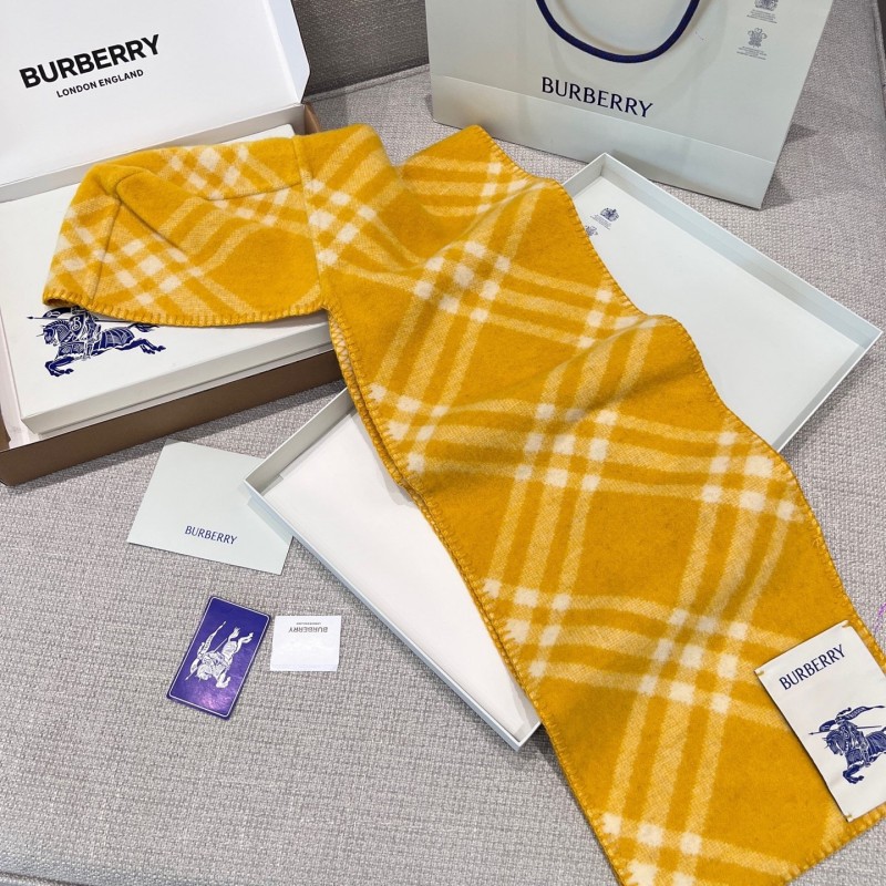Burberry Shawl
