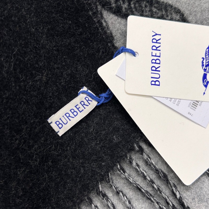 Burberry Shawl