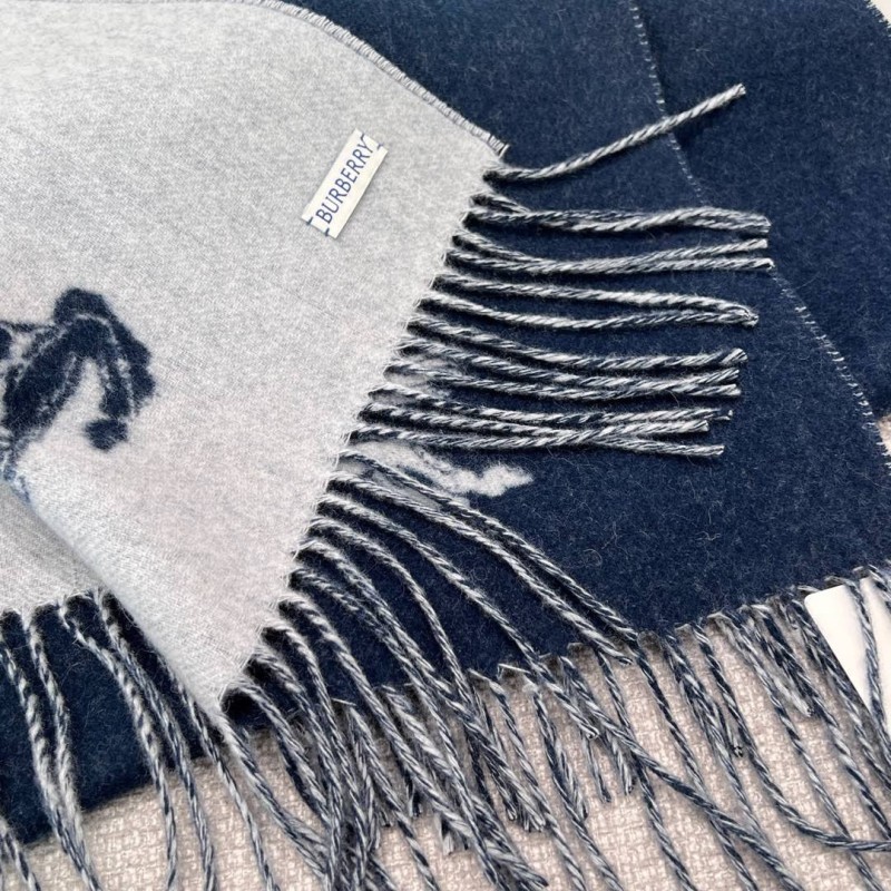 Burberry Shawl