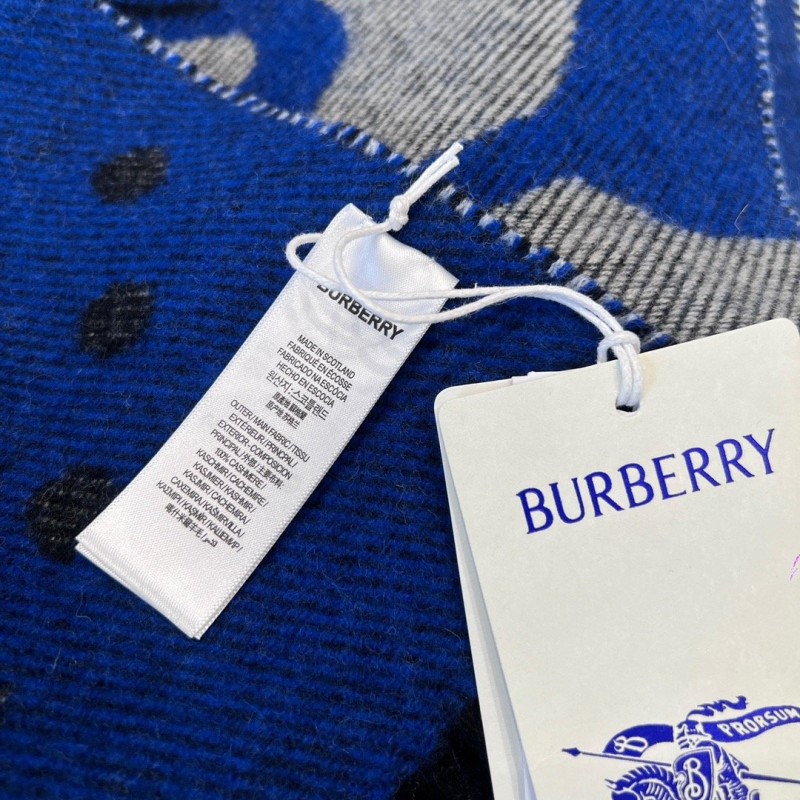 Burberry Shawl