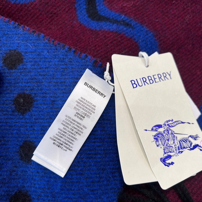 Burberry Shawl