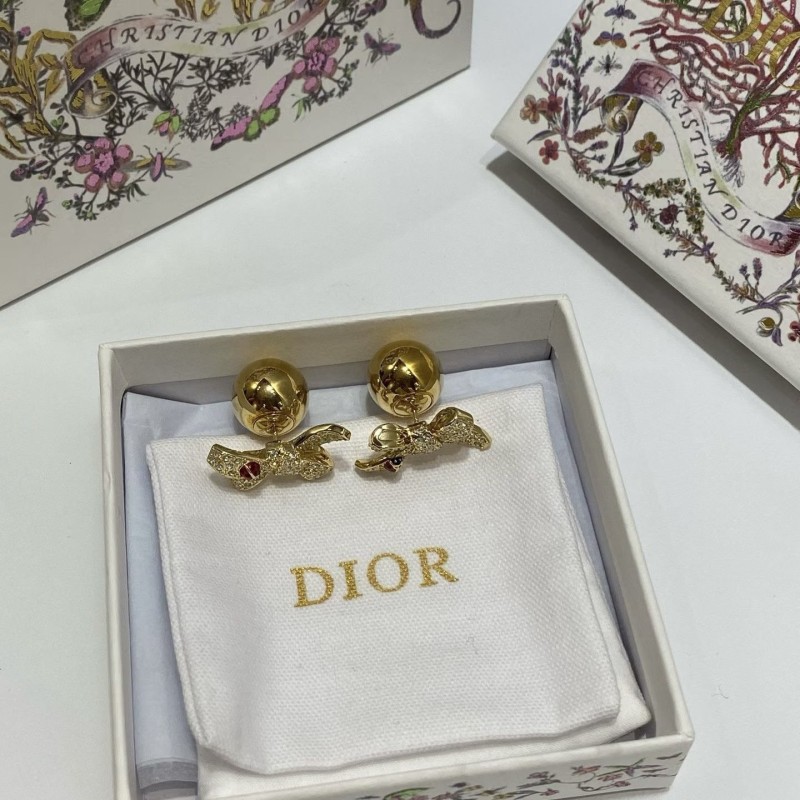 Dior Earrings 