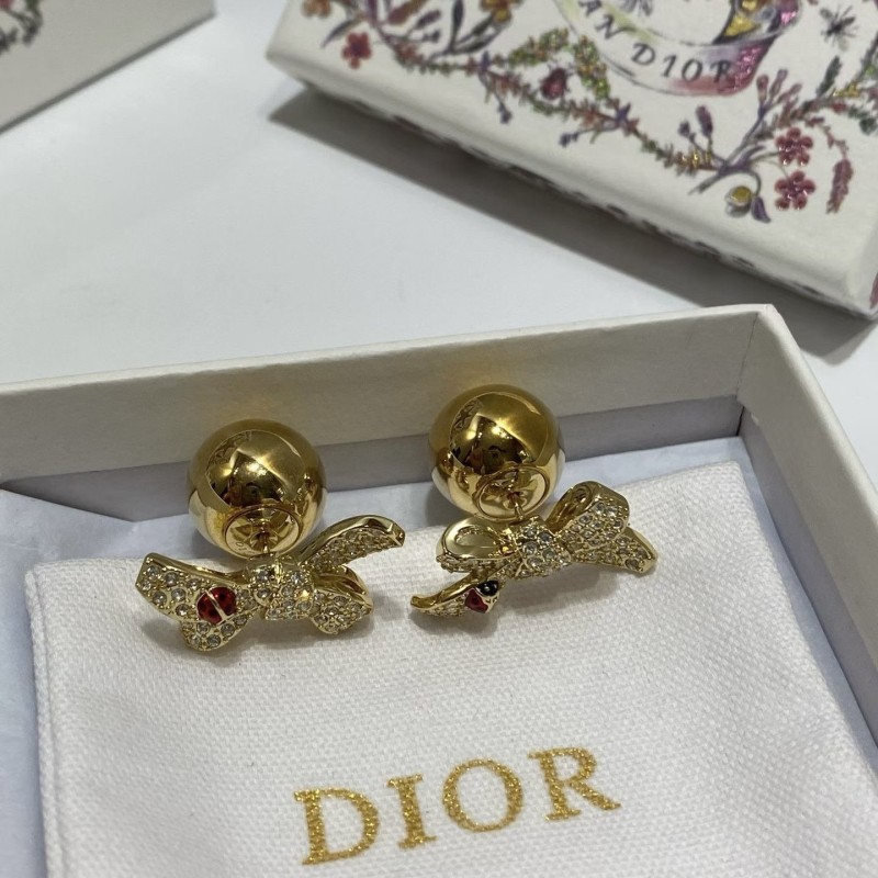 Dior Earrings 