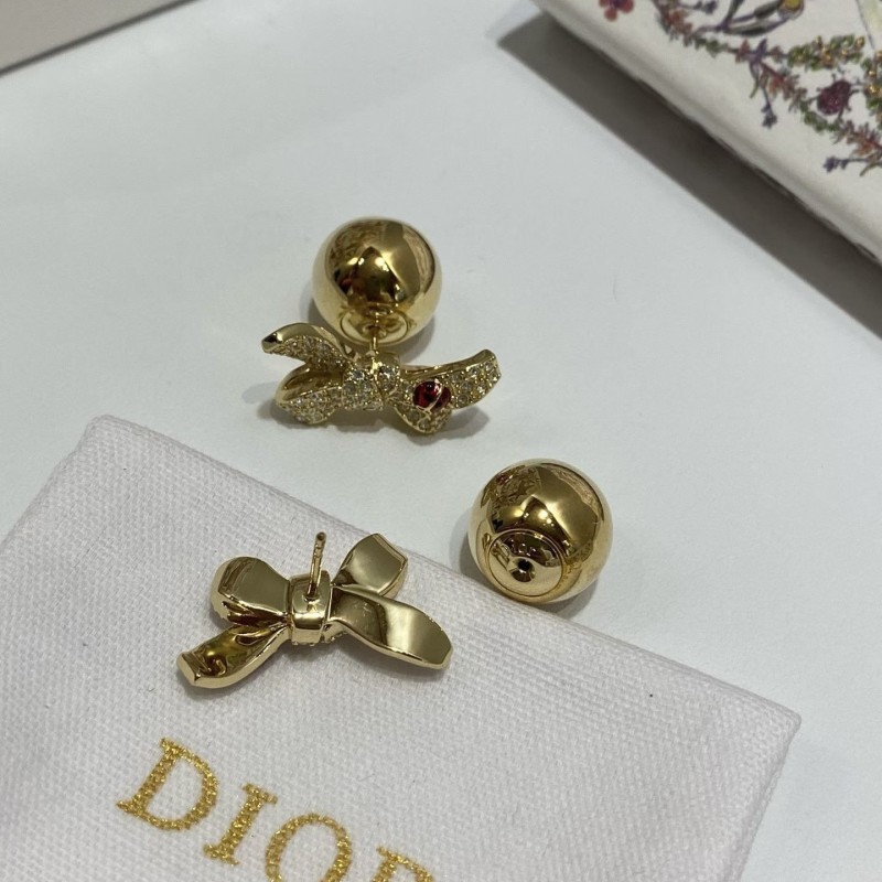 Dior Earrings 