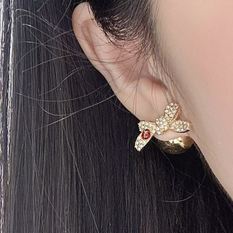 Dior Earrings 