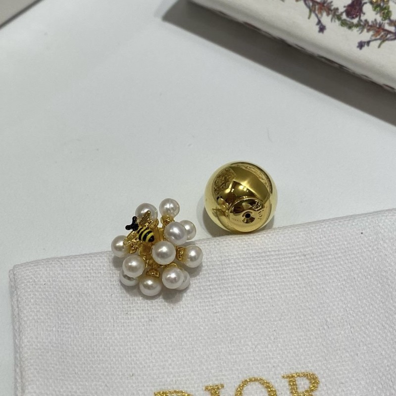Dior Earrings 