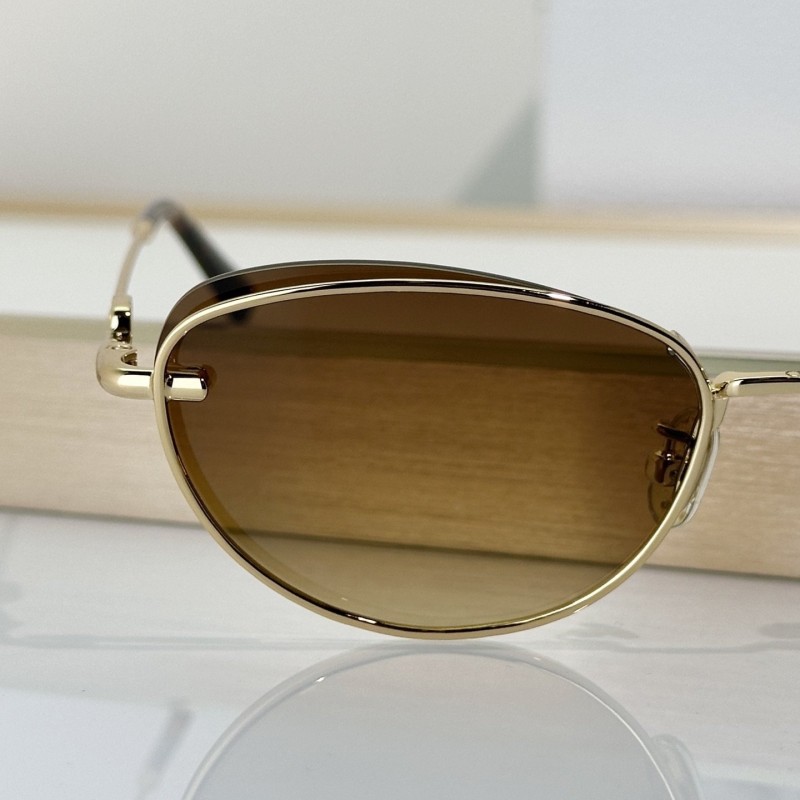 Dior Sunglasses 