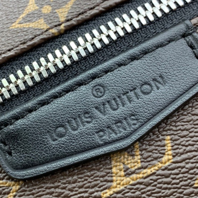 LV Backpack