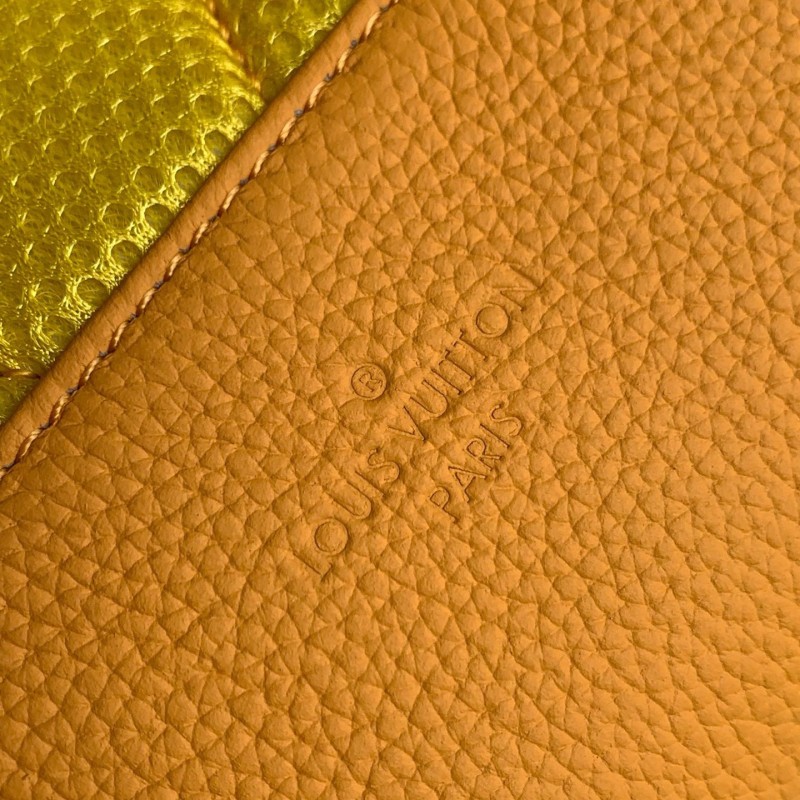 LV Backpack