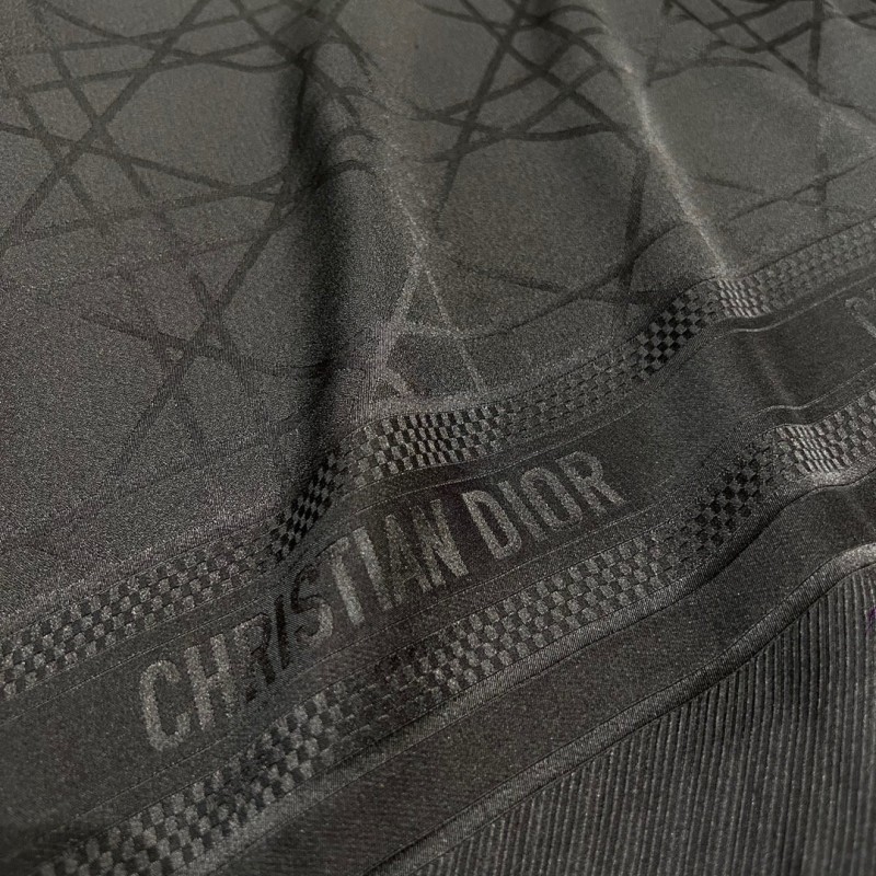 Dior Silk 桑蚕丝