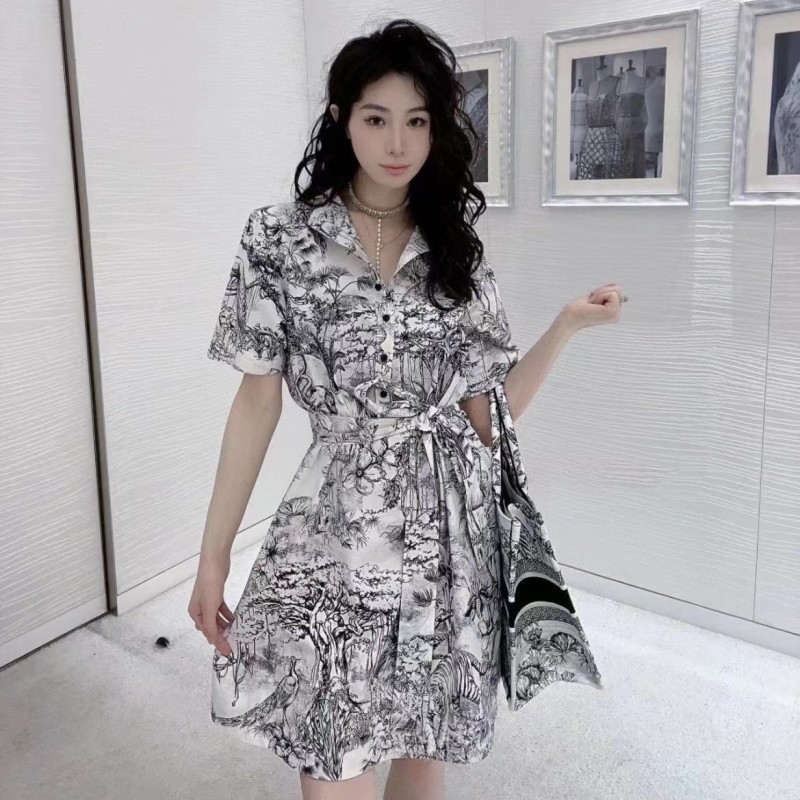 Dior Dress Set