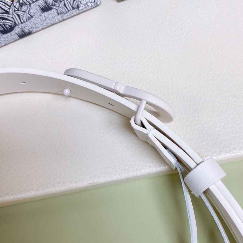 Dior 30 Montaigne Belt